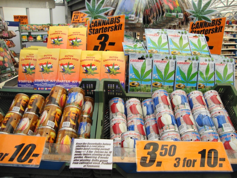 precios-kit-plantas-marihuana