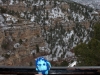 NextGen ScrollGallery thumbnail
