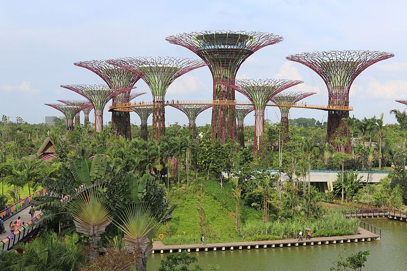 gardens-by-the-bay-supertree-forest-wikipedia