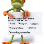 Vida Minimalista en 10 Pasos
