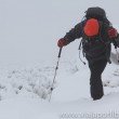 IMG_0445