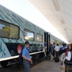 Tren Tequila Express