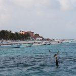 IMG_0345
