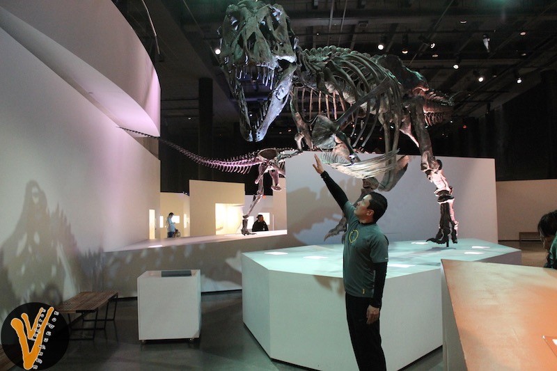 Museo de Ciencias Naturales de Houston Texas