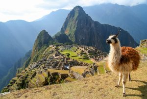 paquetes para viajar a Machu Picchu