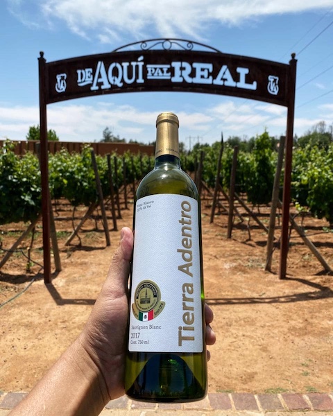 Vino Campo Real